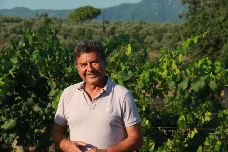 Winemaker Theodoros Dereskos