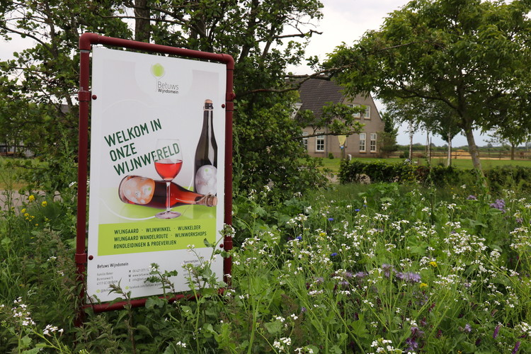 Entrance Dutch winery Betuws Wijndomein