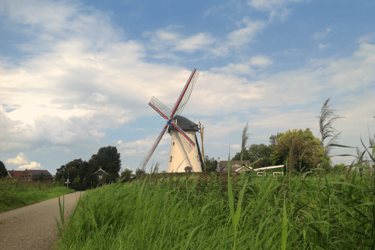 Windmill near Dutch winery Wijnhoeve De Kleine Schorre