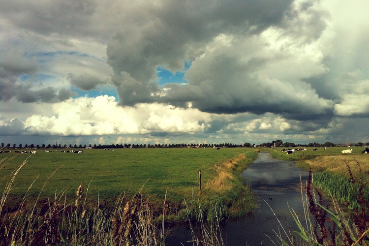 Close surroundings of Wijngaard Saalhof